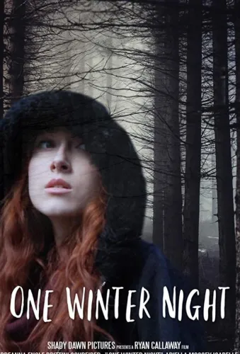 One Winter Night 