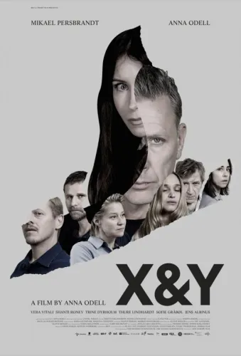 X и Y 