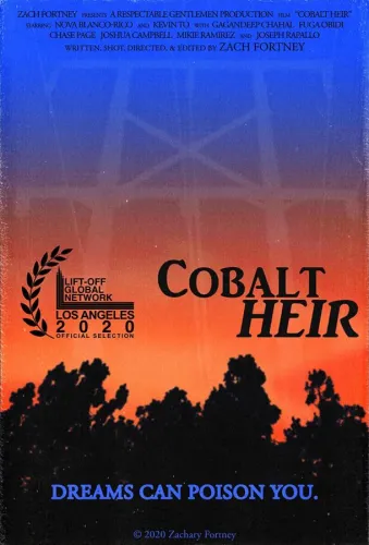 Cobalt Heir 