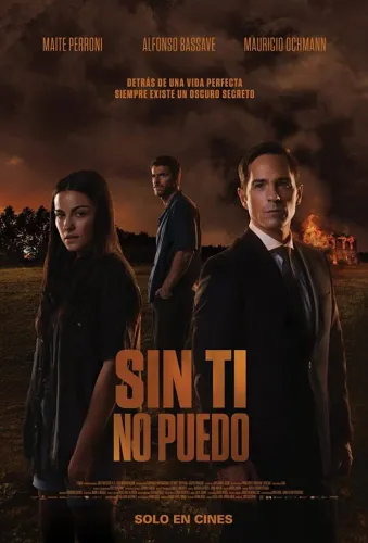 Sin ti no puedo